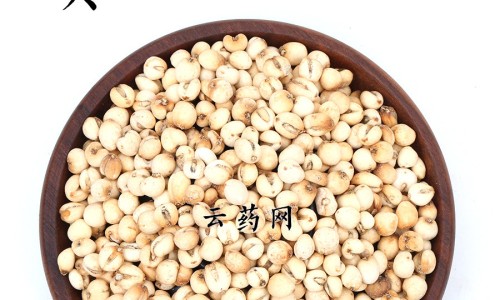 权威鲜参的功效作用与主治与用量平台,分享专业鲜参的图片知识_鲜参的功效网