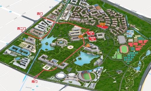 鲜参的功效和作用-权威鲜参的功效作用与主治与用量平台,分享专业鲜参的图片知识_鲜参的功效网